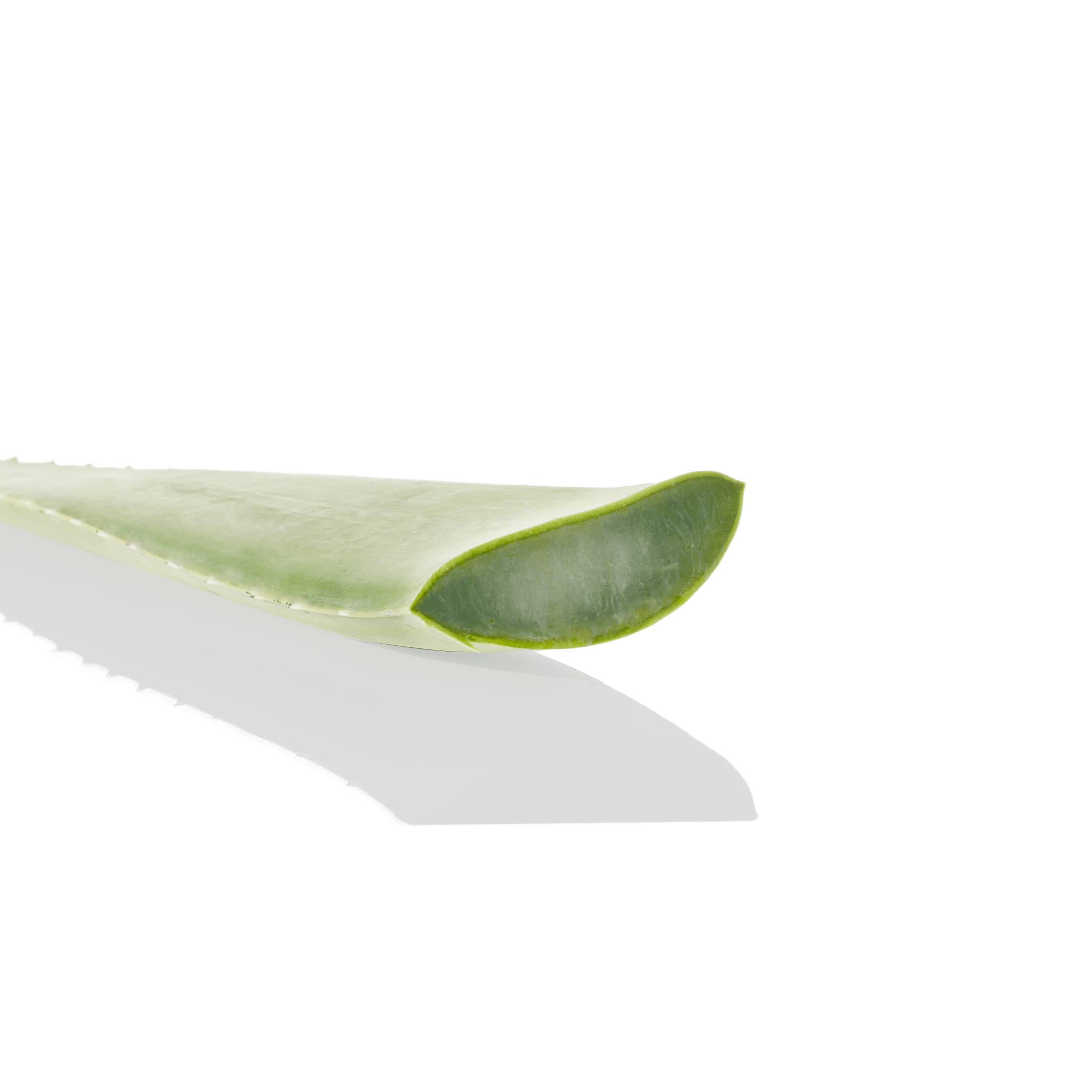 CRÈME DÉPILATORIE 125ML – Image 2