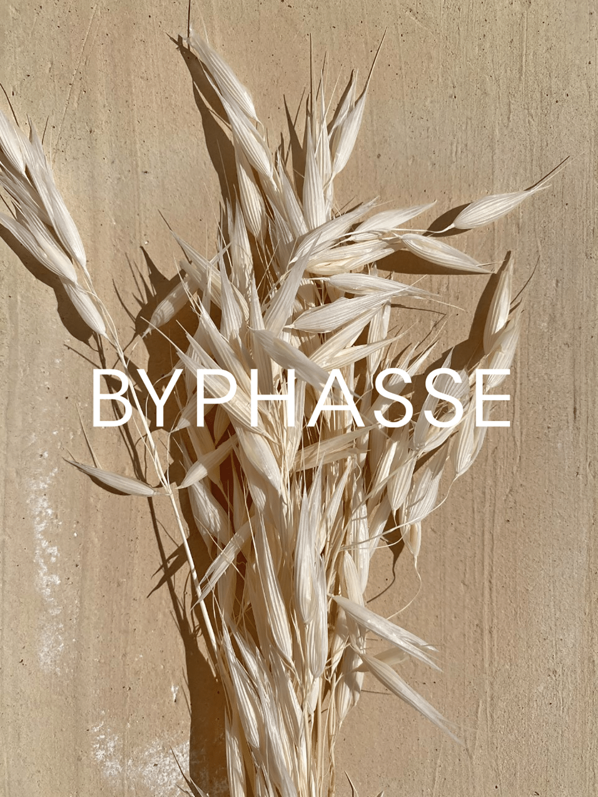 LAIT CORPOREL ÉCLAIRCISSANTE WHITENING EFFECT 500ML – Image 4